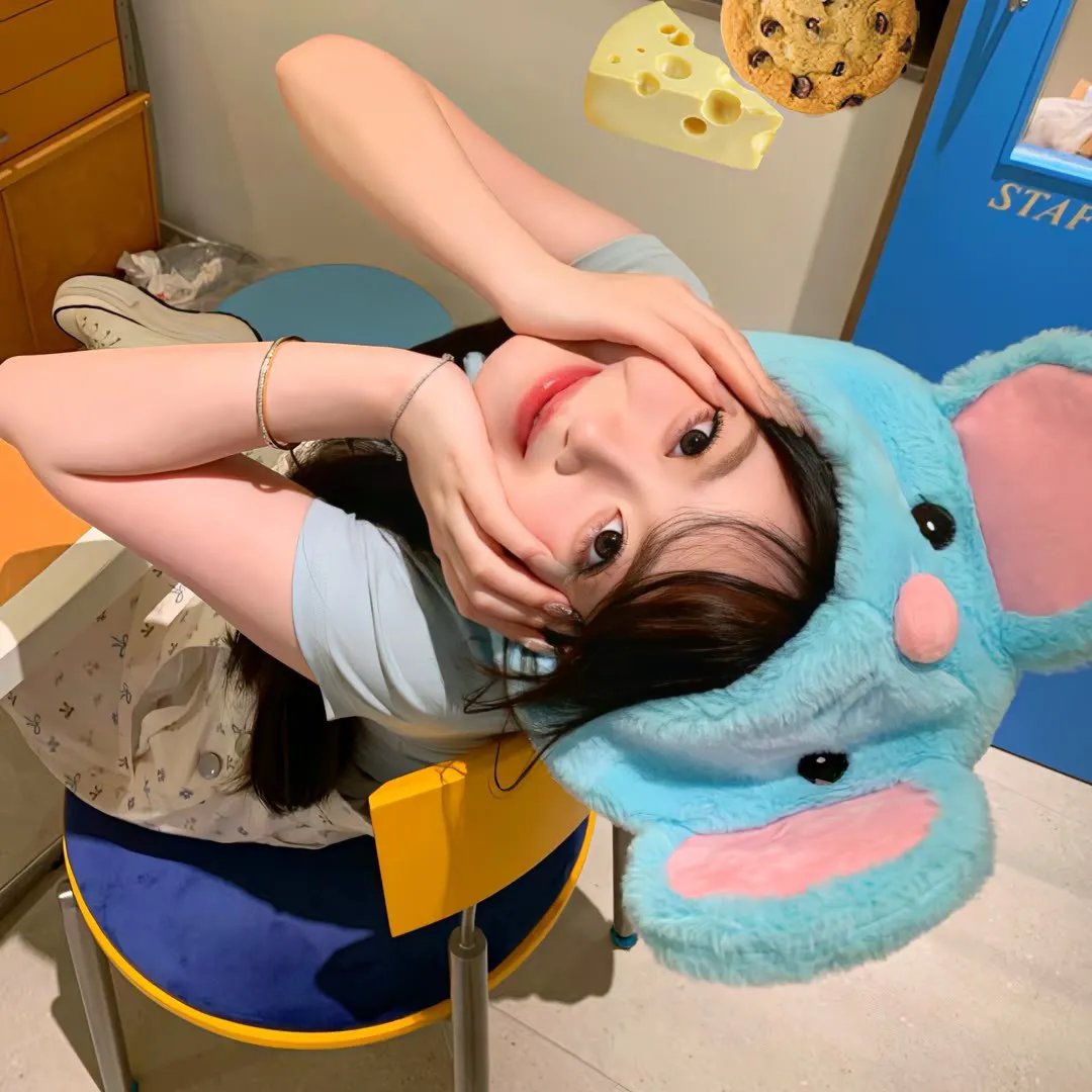 情宿