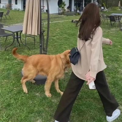 杜鲁门总统传